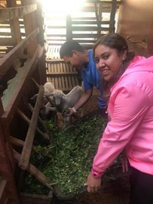 Farm Goat Students