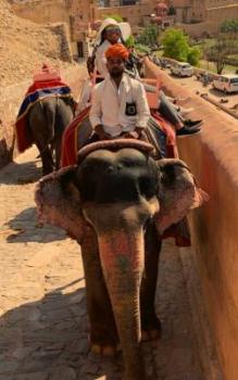 Grace Igwe Riding Elephant Amer Fort